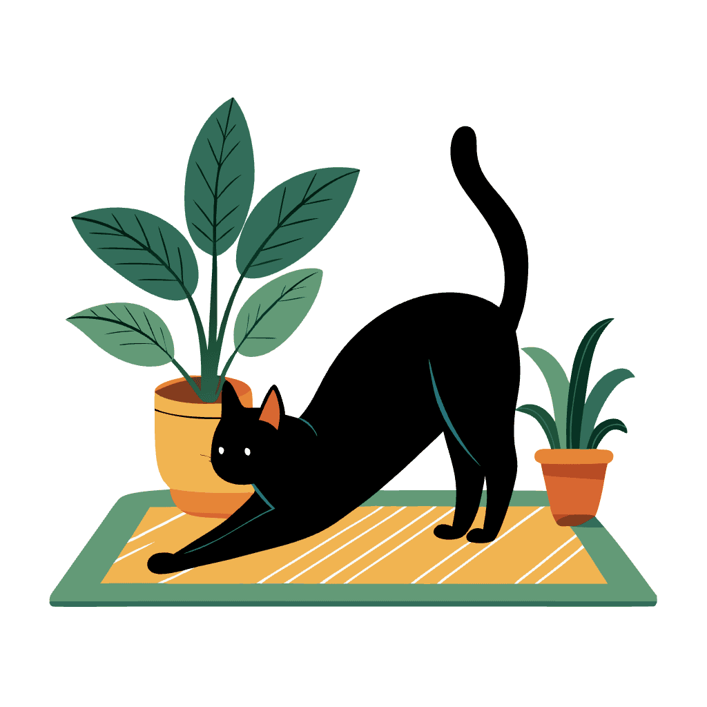A black cat stretching on a rug beside a houseplant.