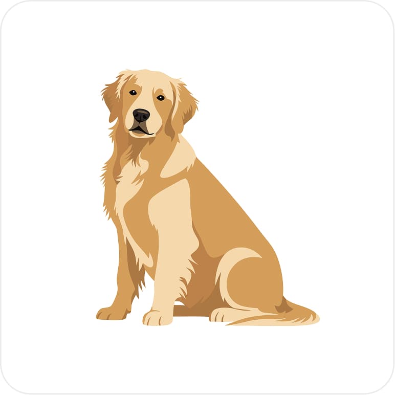 Dog character flat design