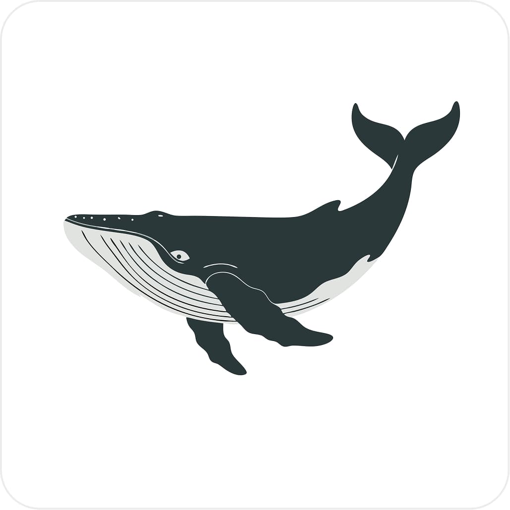 Majestic whale flat design