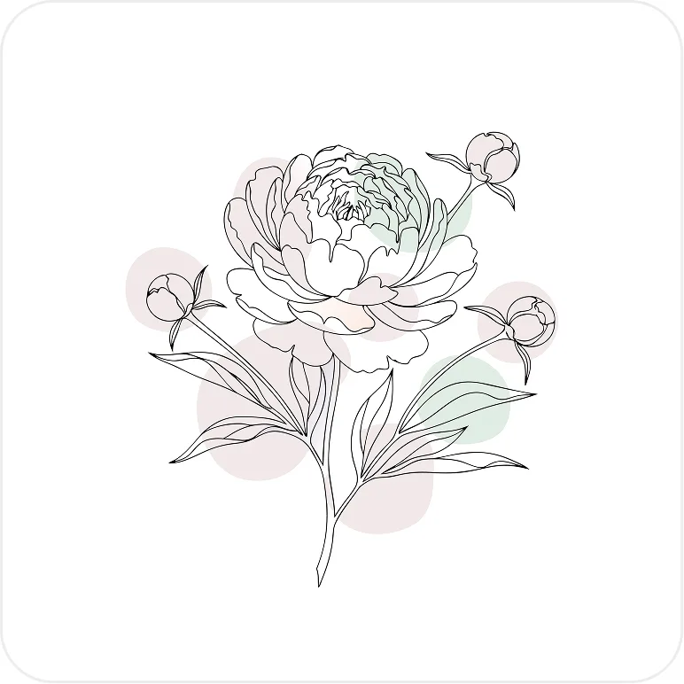 Clean line drawings from a photo you already have