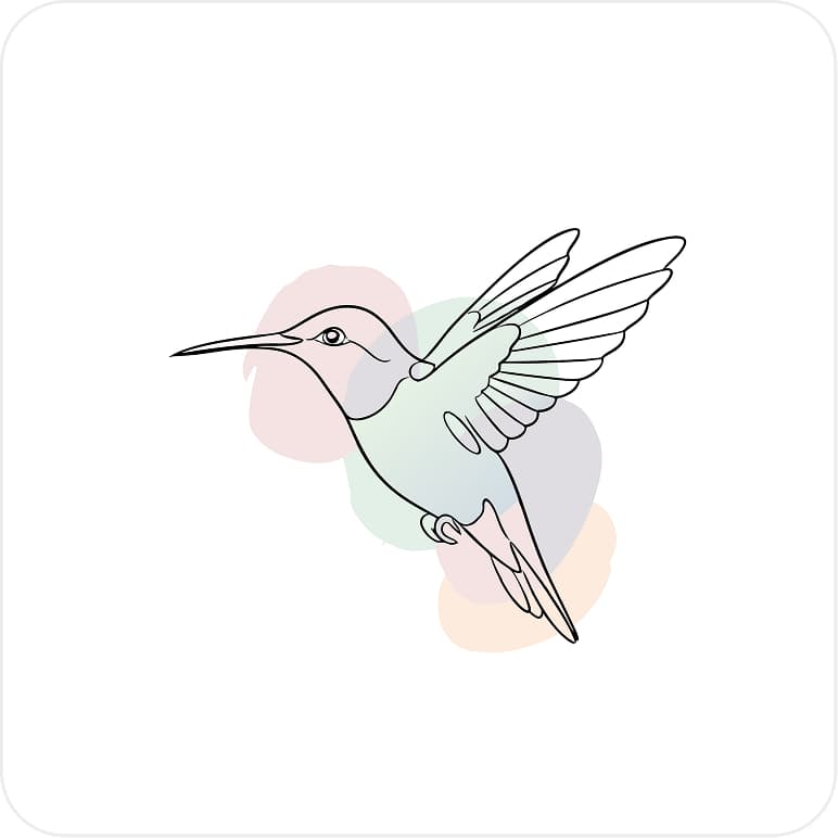 Beautiful hummingbird line art
