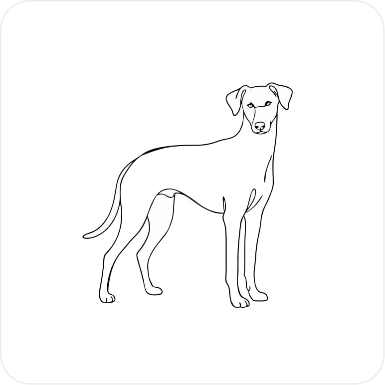 Playful dog line art illustration