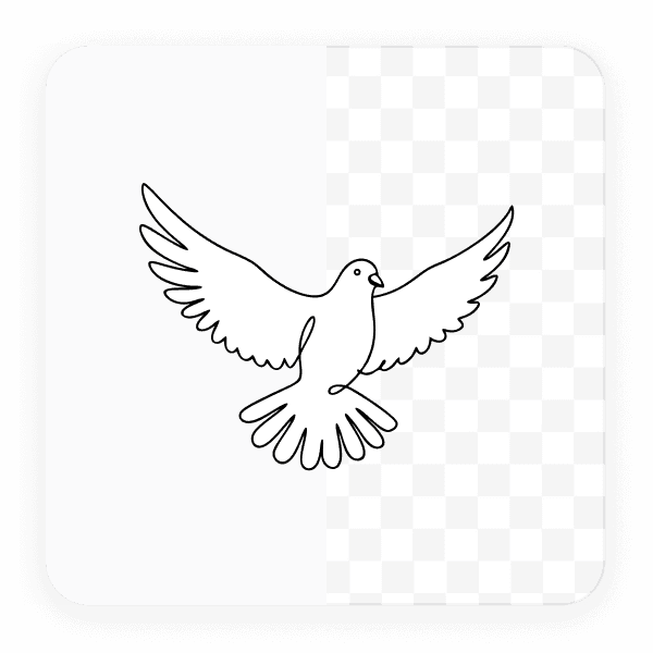 Save to your gallery or export to SVG, PNG or JPG